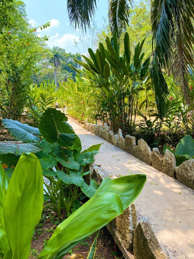 Hotel Maya Bell Palenque Ngoại thất bức ảnh