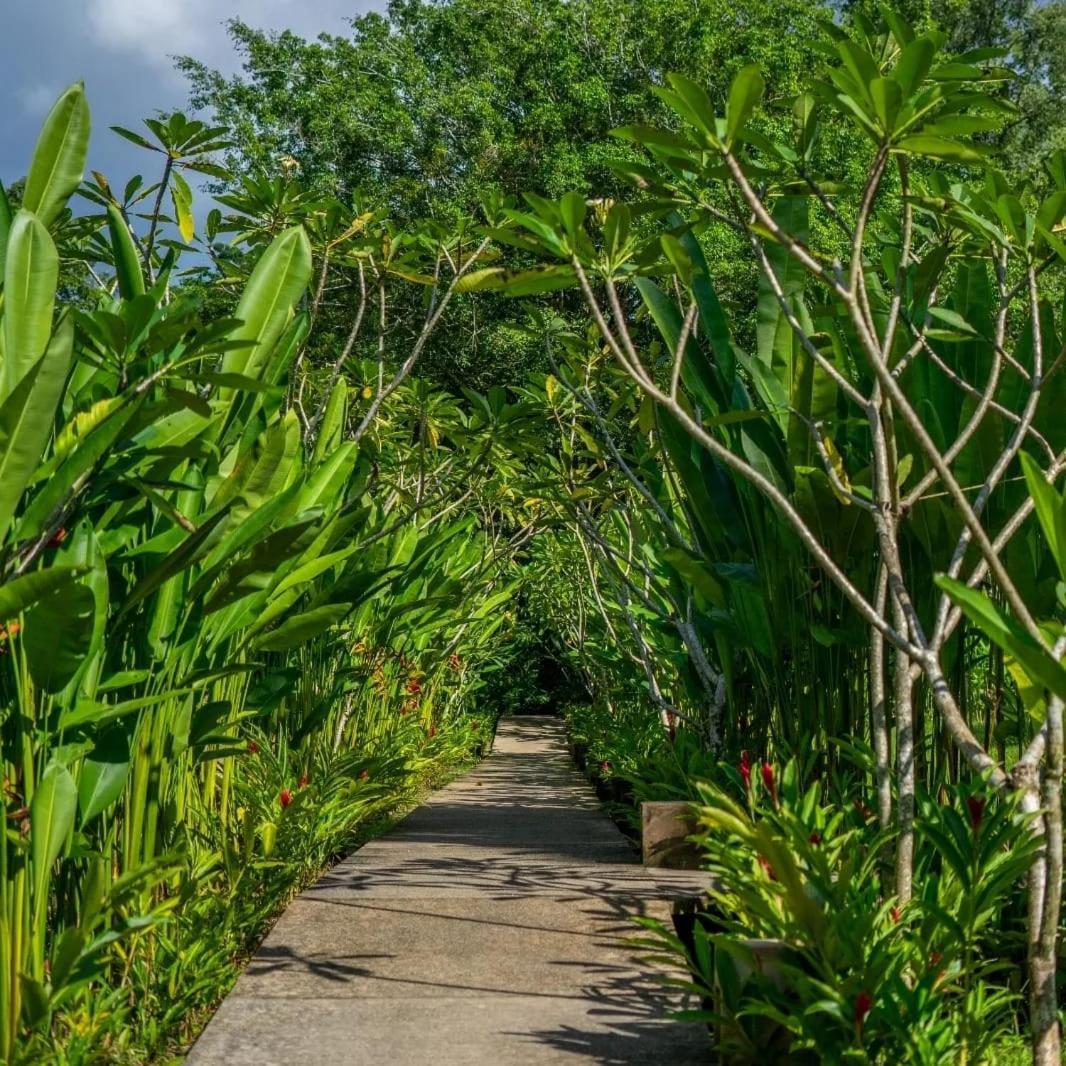 Hotel Maya Bell Palenque Ngoại thất bức ảnh