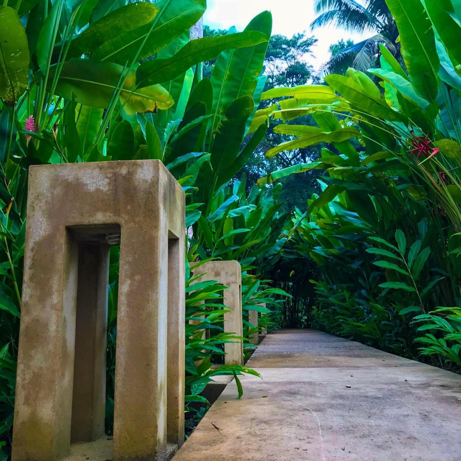 Hotel Maya Bell Palenque Ngoại thất bức ảnh
